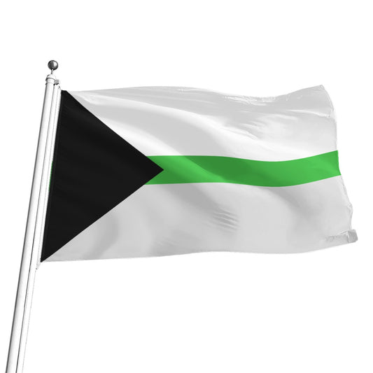 Demiromantic Pride Flag - Multiple Sizes