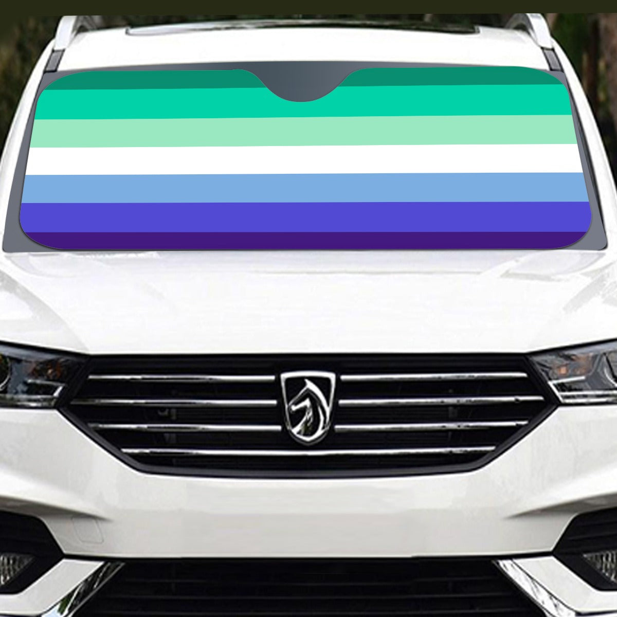 MLM Pride Flag Windshield Sunshade | 137 cm (53.9")