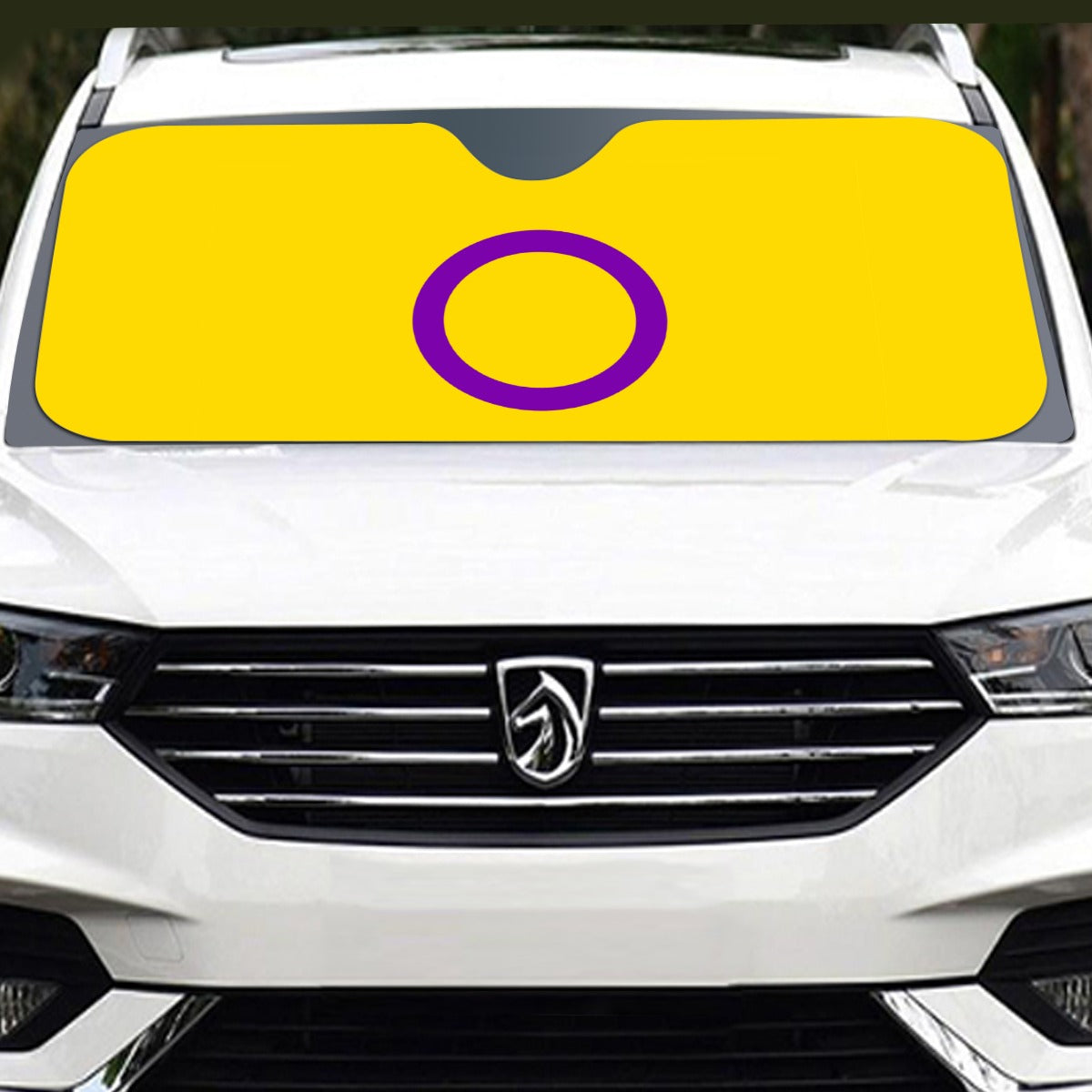 Intersex Pride Flag Windshield Sunshade | 145 cm (57.1)