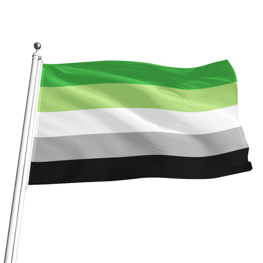 Aromantic Pride Flag - Multiple Sizes