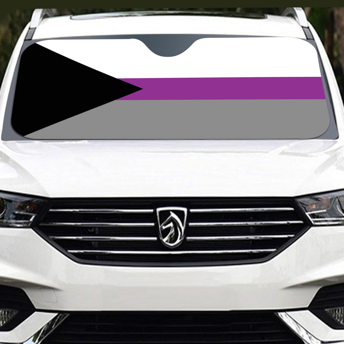 Demisexual Pride Flag Windshield Sunshade | 137 cm (53.9")