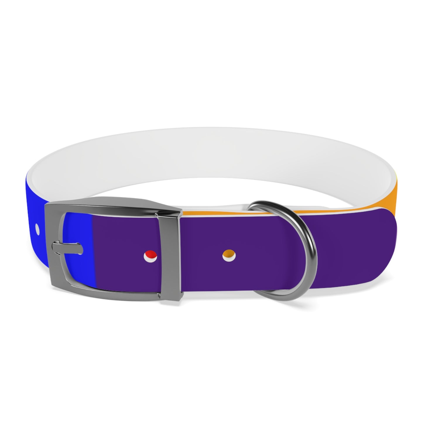 Radical Pet Dog Collar