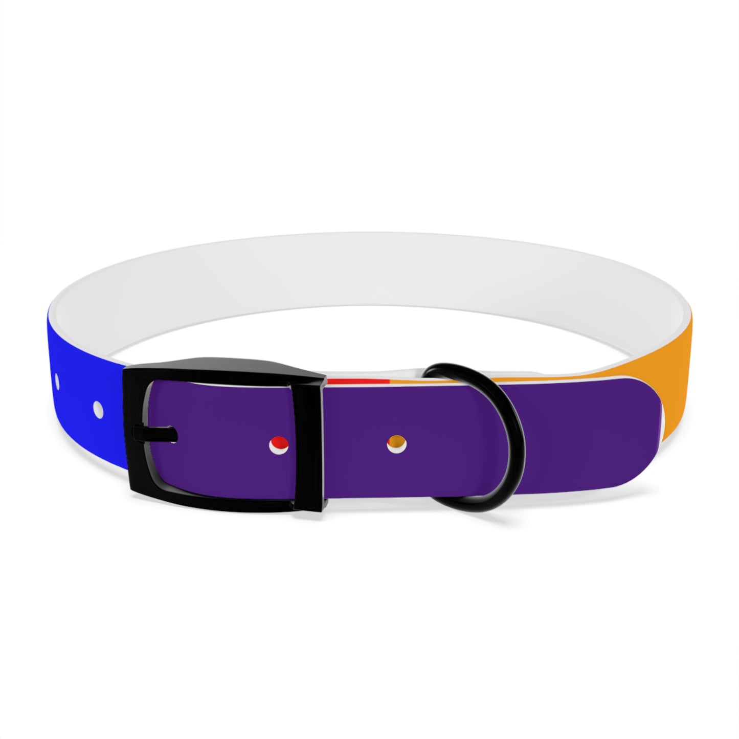 Radical Pet Dog Collar