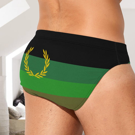 Military Fetish Pride Flag Briefs – Traditional Masculine Cut