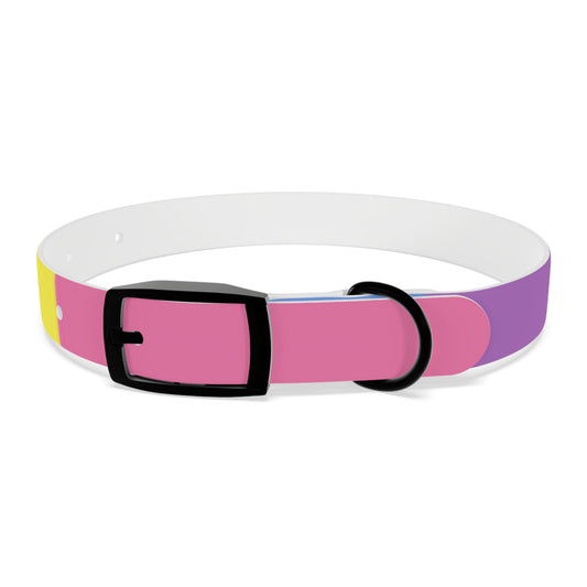 Bigender Pride Flag Dog Collar