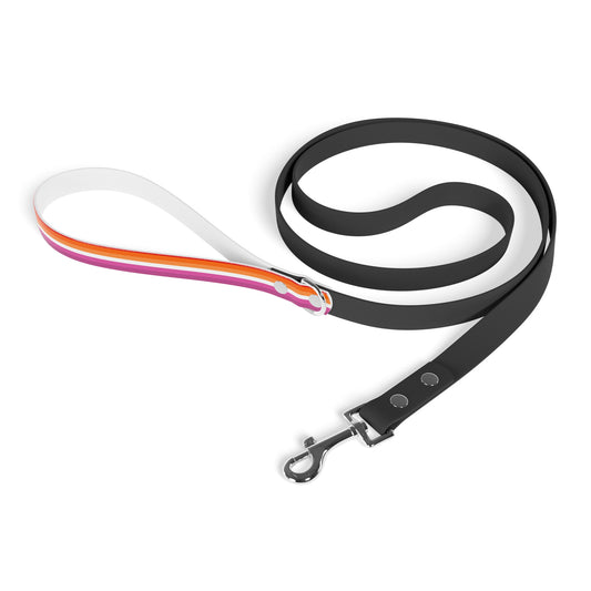 Lesbian Pride Flag Dog Leash