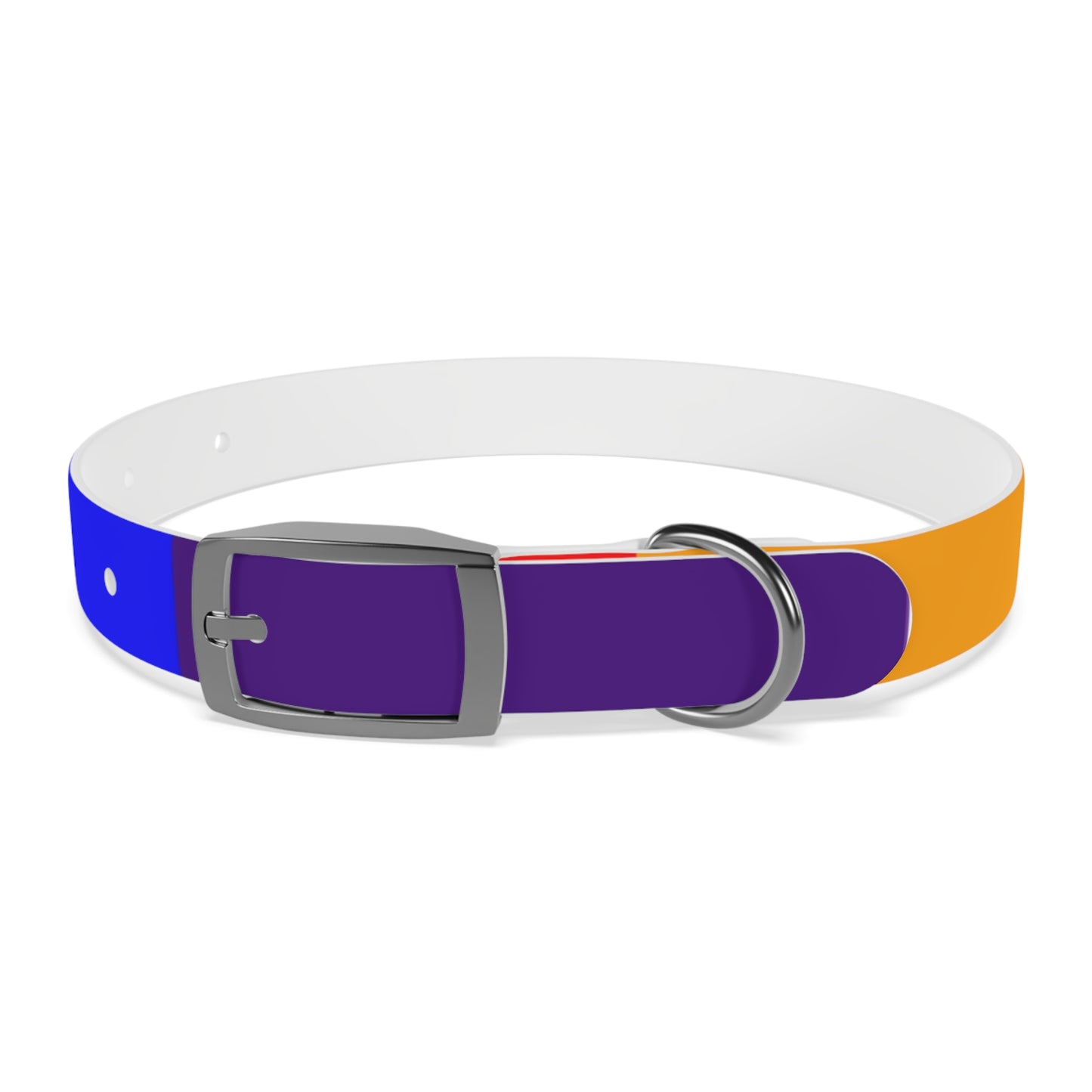 Radical Pet Dog Collar