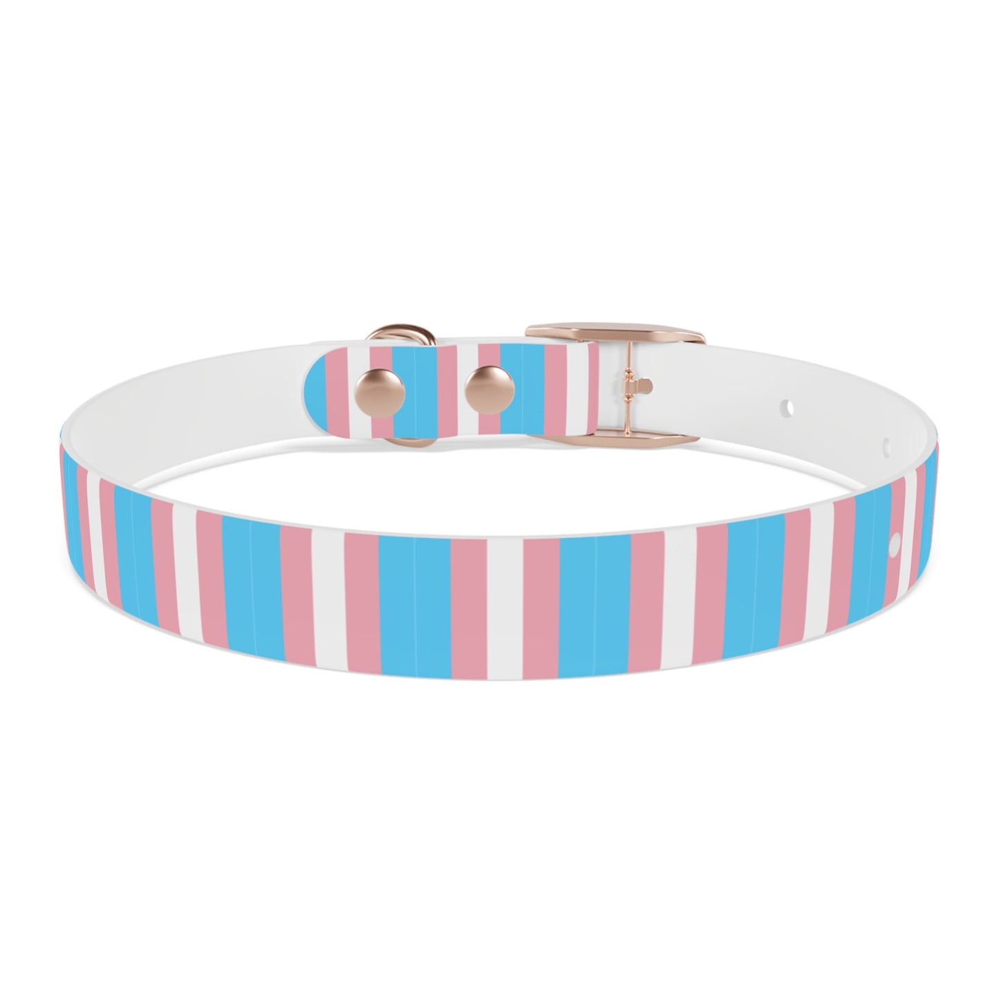 Transgender Pride Flag Dog Collar