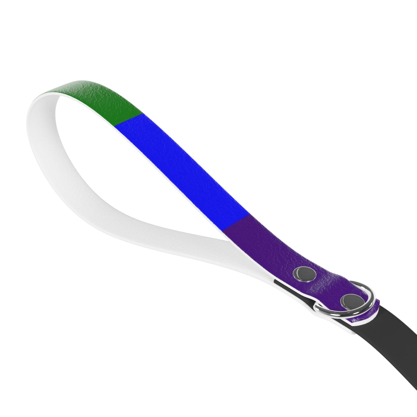Radical Pet Dog Leash