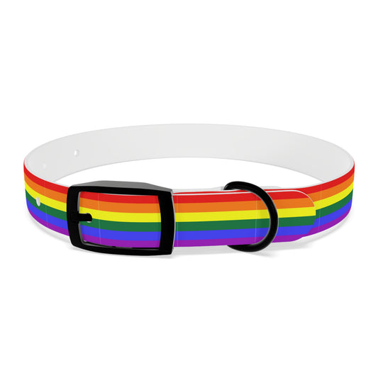 QPOC Pride Flag Dog Collar