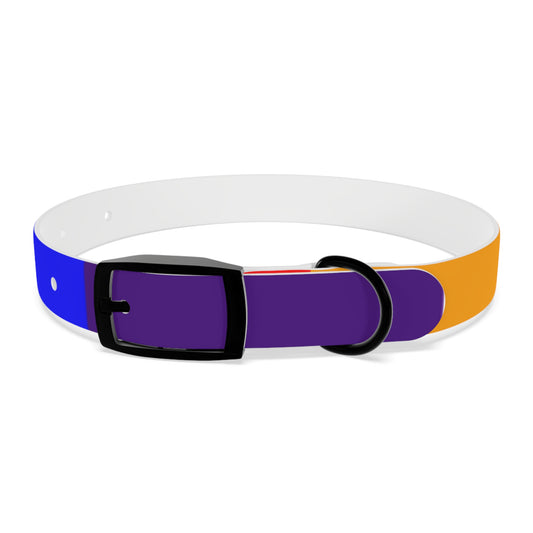 Radical Pet Dog Collar
