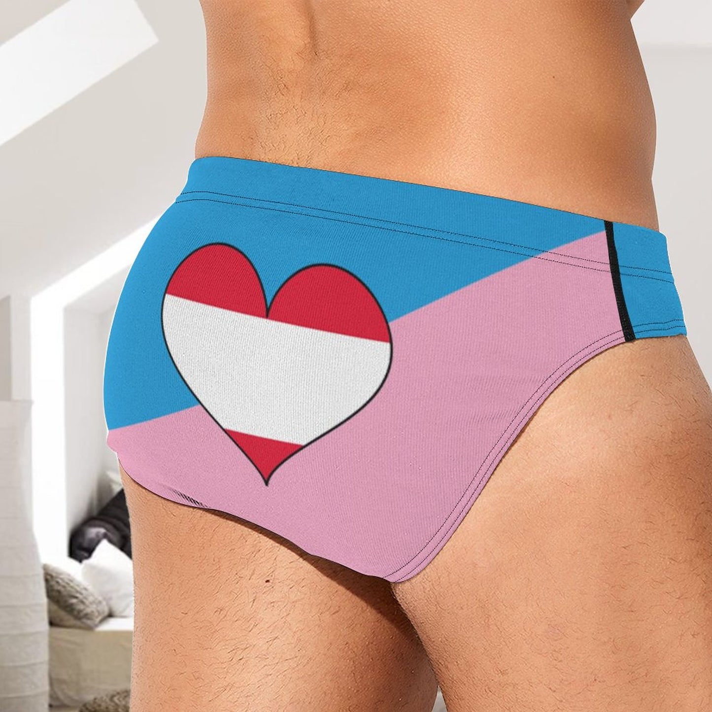 Age Play Fetish Pride Flag Briefs – Traditional Masculine Cut