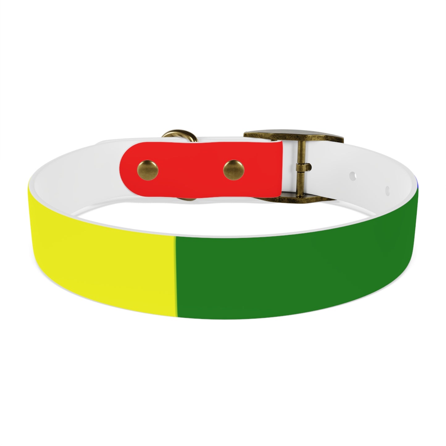 Radical Pet Dog Collar