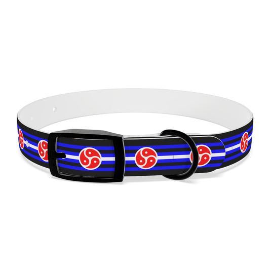 BDSM Fetish Pride Flag Dog Collar