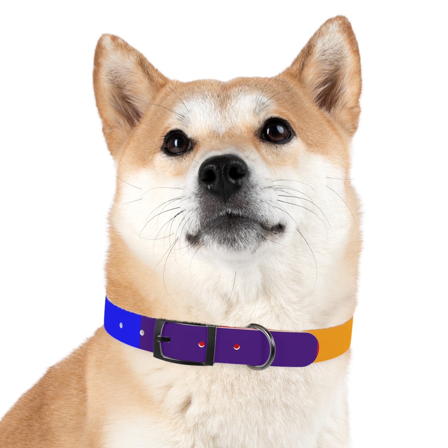 Radical Pet Dog Collar