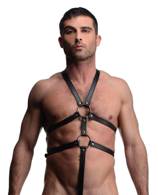 Male Full Body Harness-0