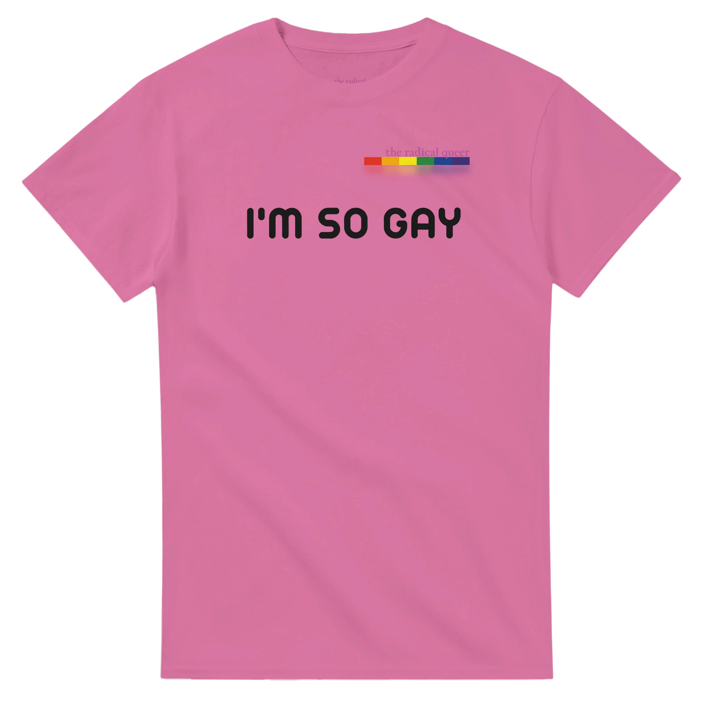 I'm So Gay Tee Shirt Azalea