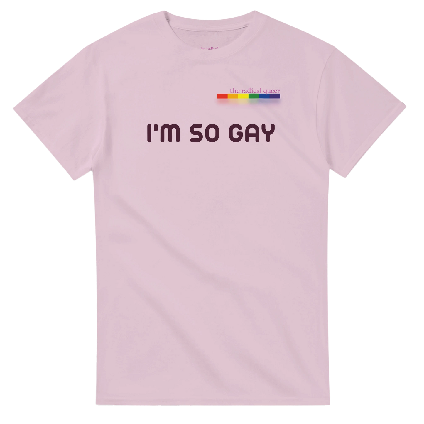 I'm So Gay Tee Shirt Light Pink