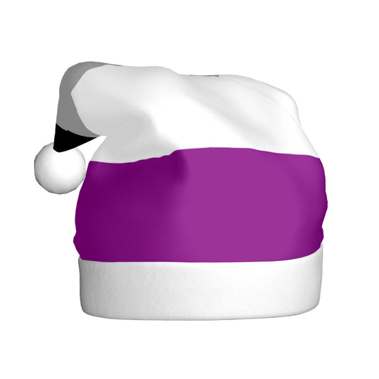 Asexual Pride Flag Adult Plush Holiday Hat