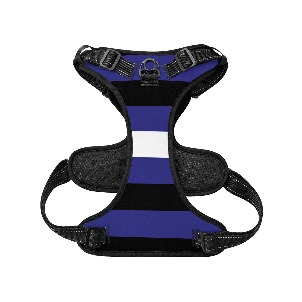 Leather Pride Flag Dog Harness