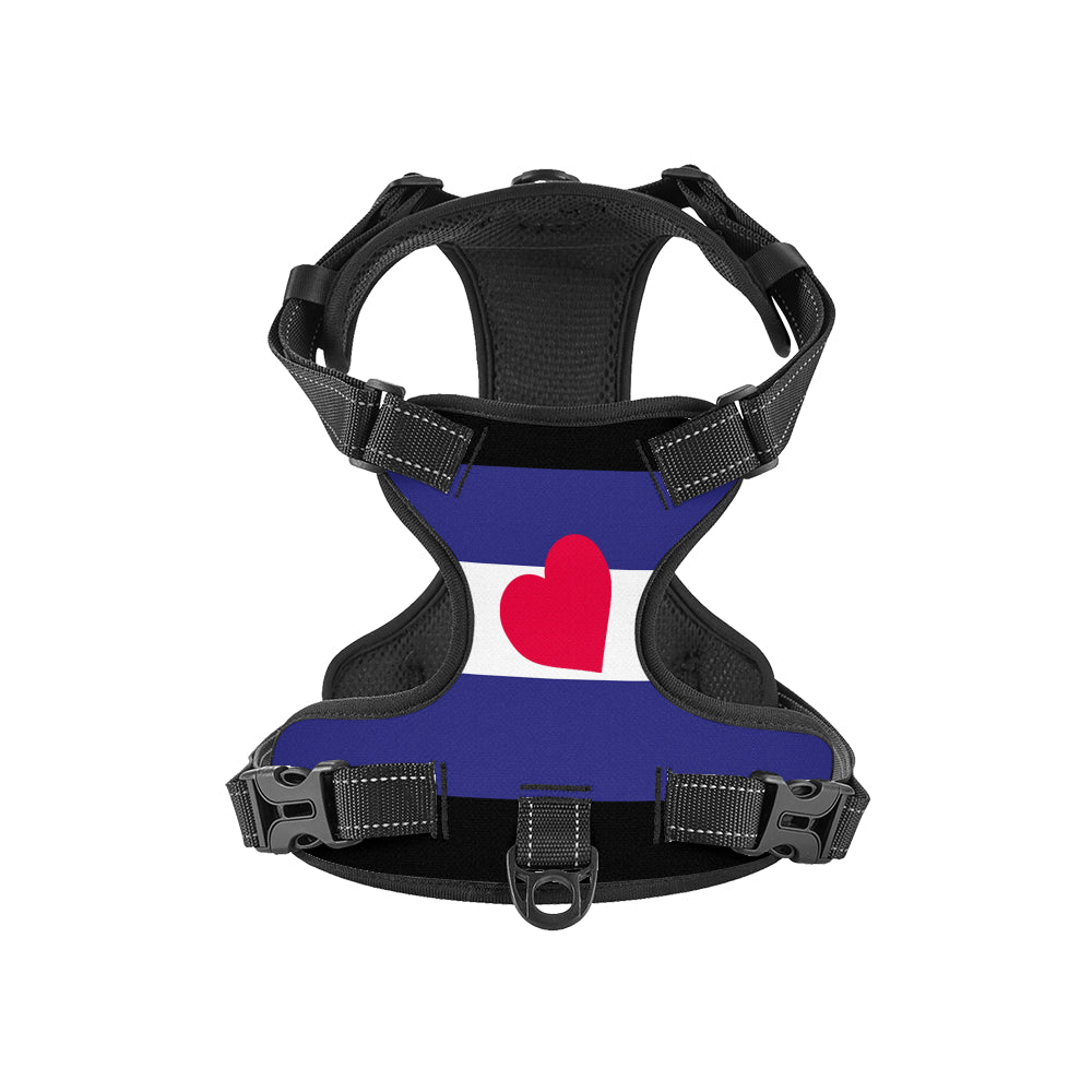 Leather Pride Flag Dog Harness