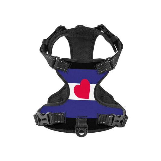 Leather Pride Flag Dog Harness